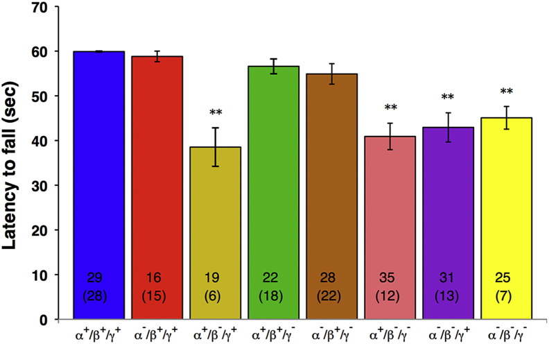 Fig. 2