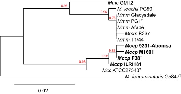 Figure 2