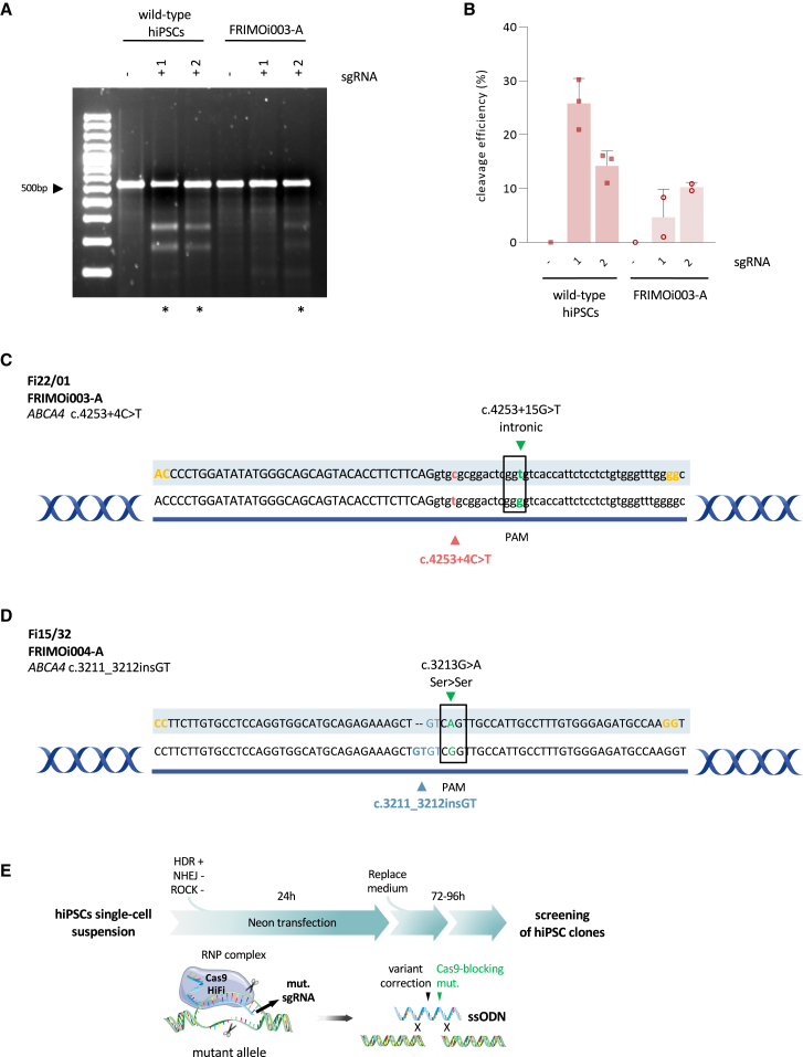 Figure 2