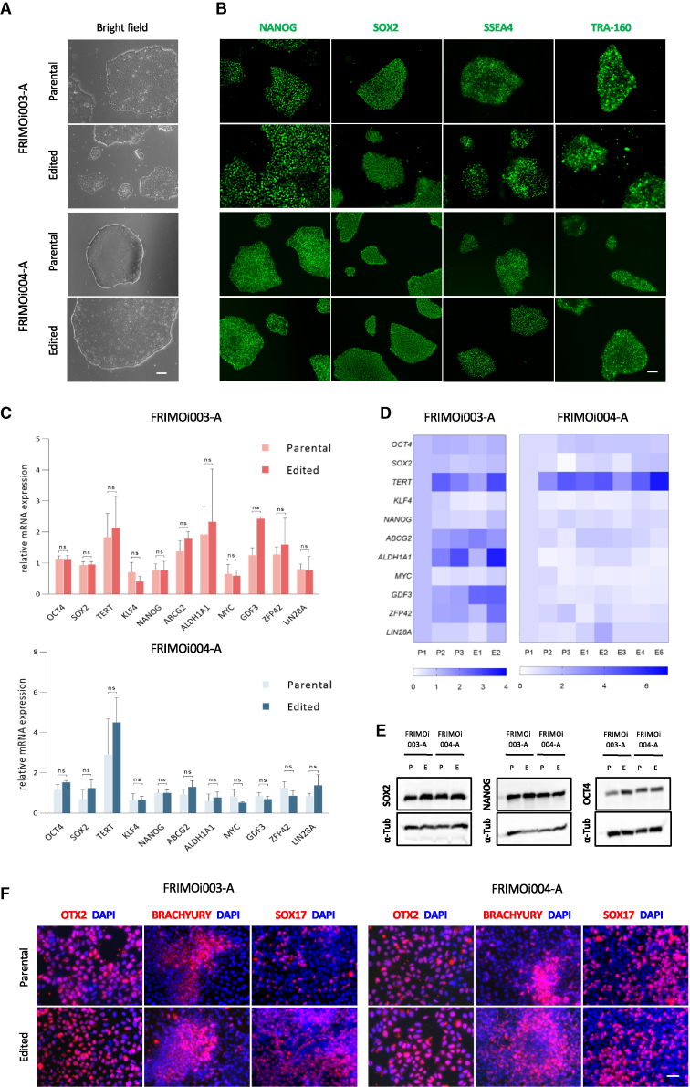 Figure 4