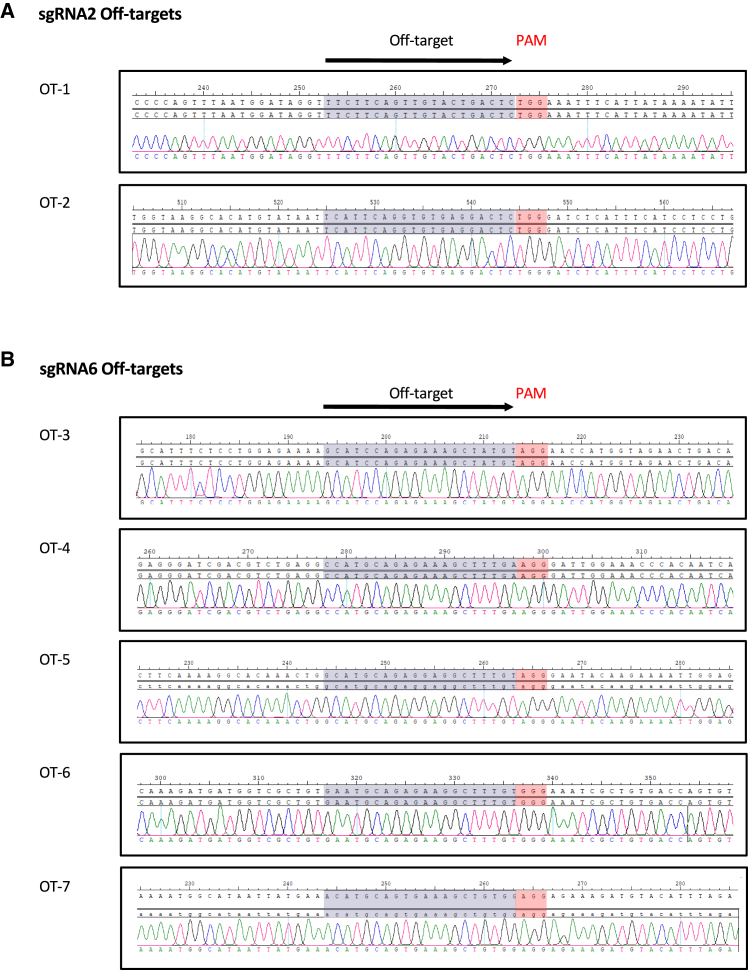 Figure 5