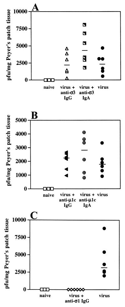 FIG. 7