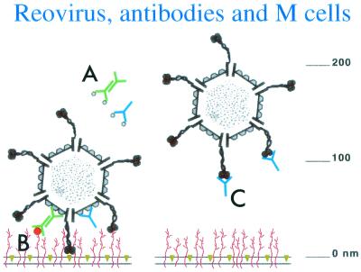 FIG. 8