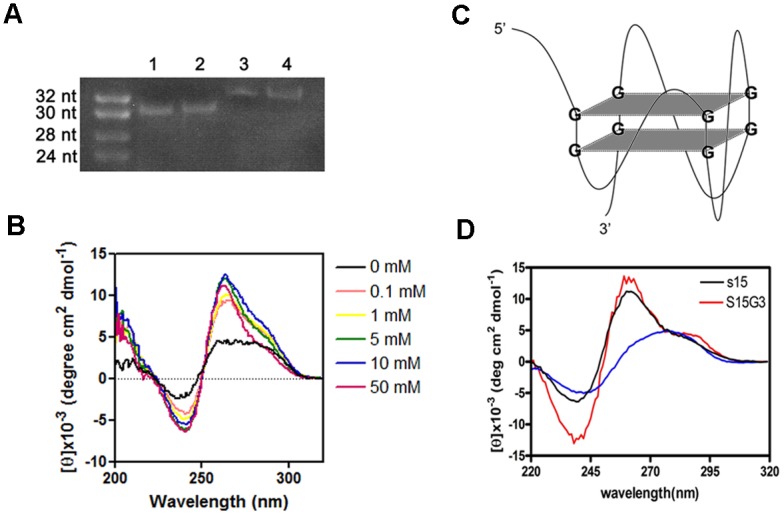 Fig 6