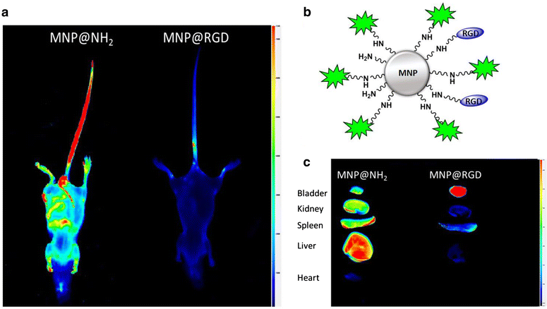 Fig. 3