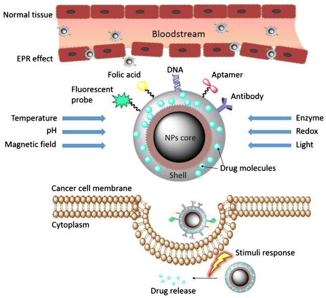 Fig. 2