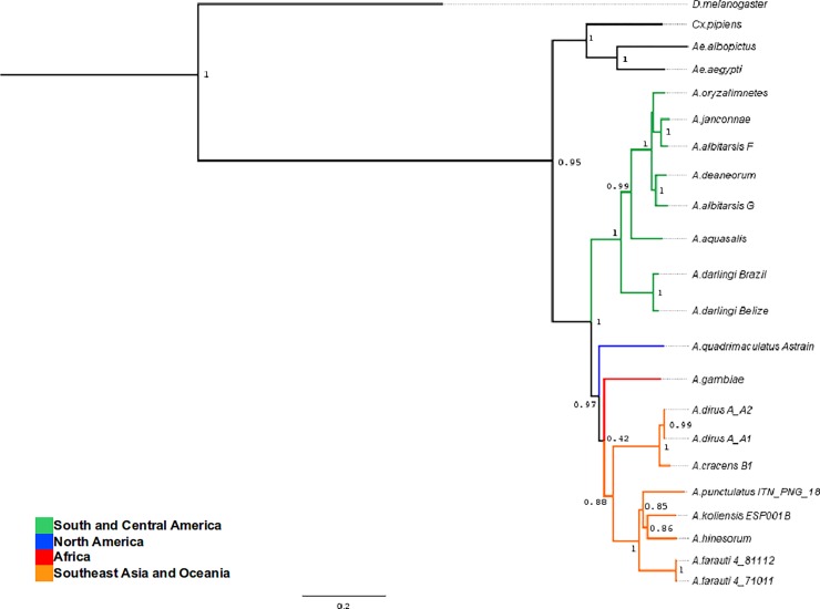 Fig 3