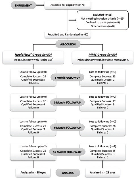 Flow Chart 1