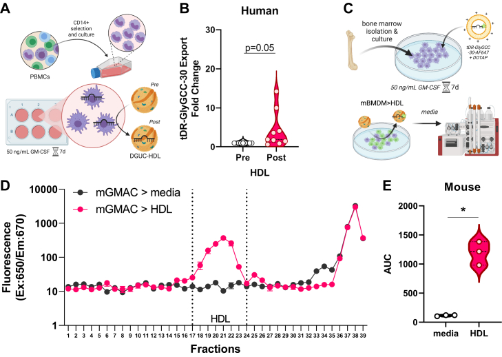 Figure 2