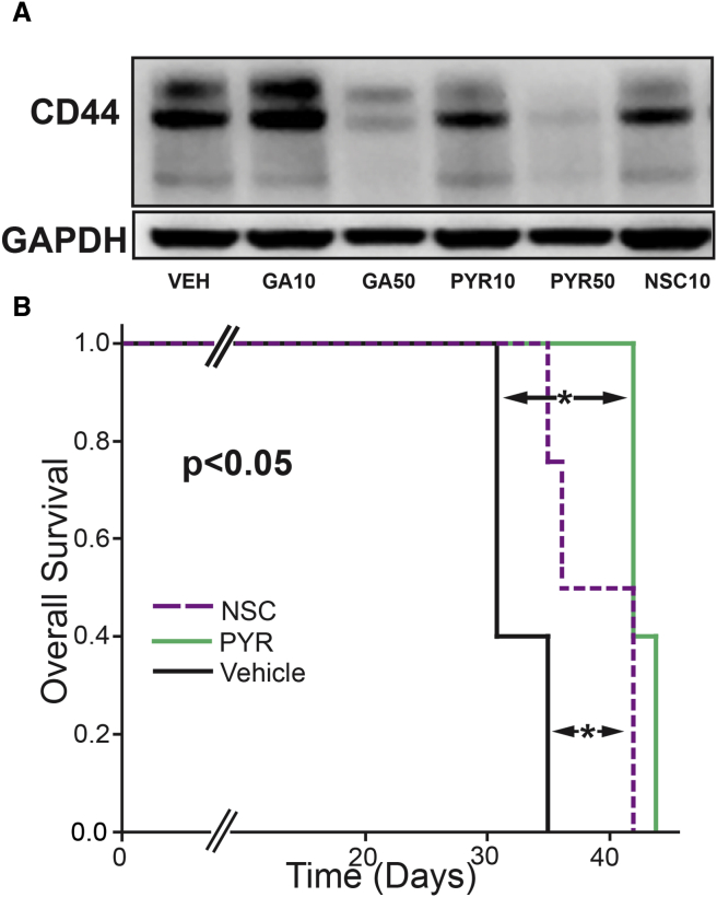 Figure 5