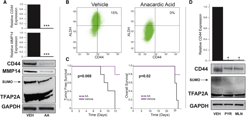 Figure 6