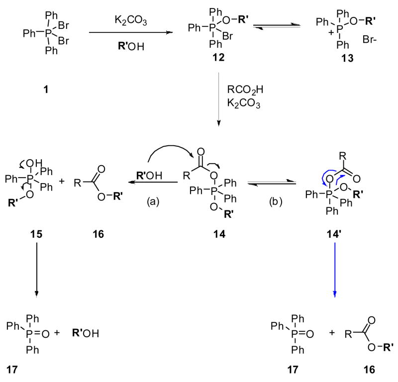 Scheme 1