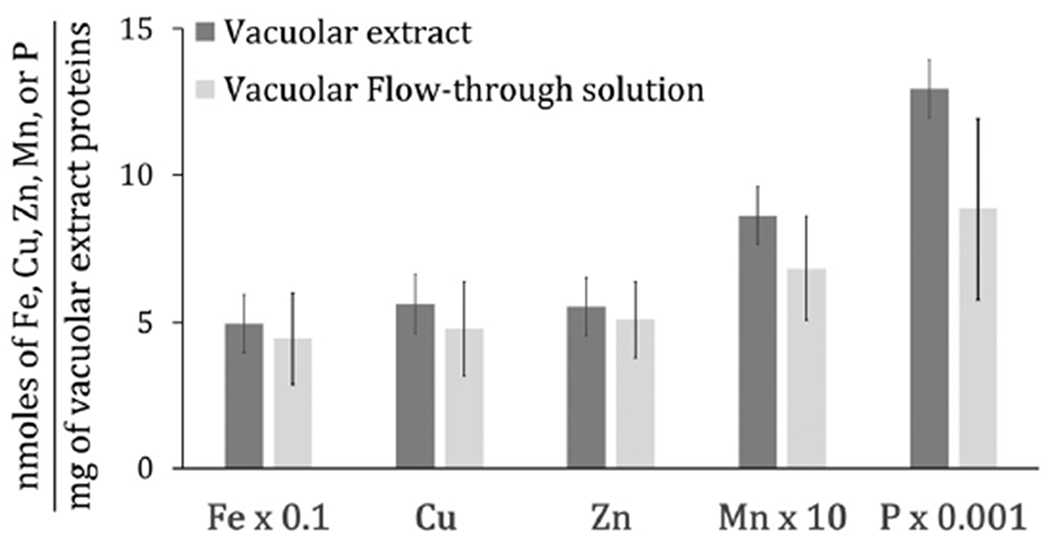 Fig. 2