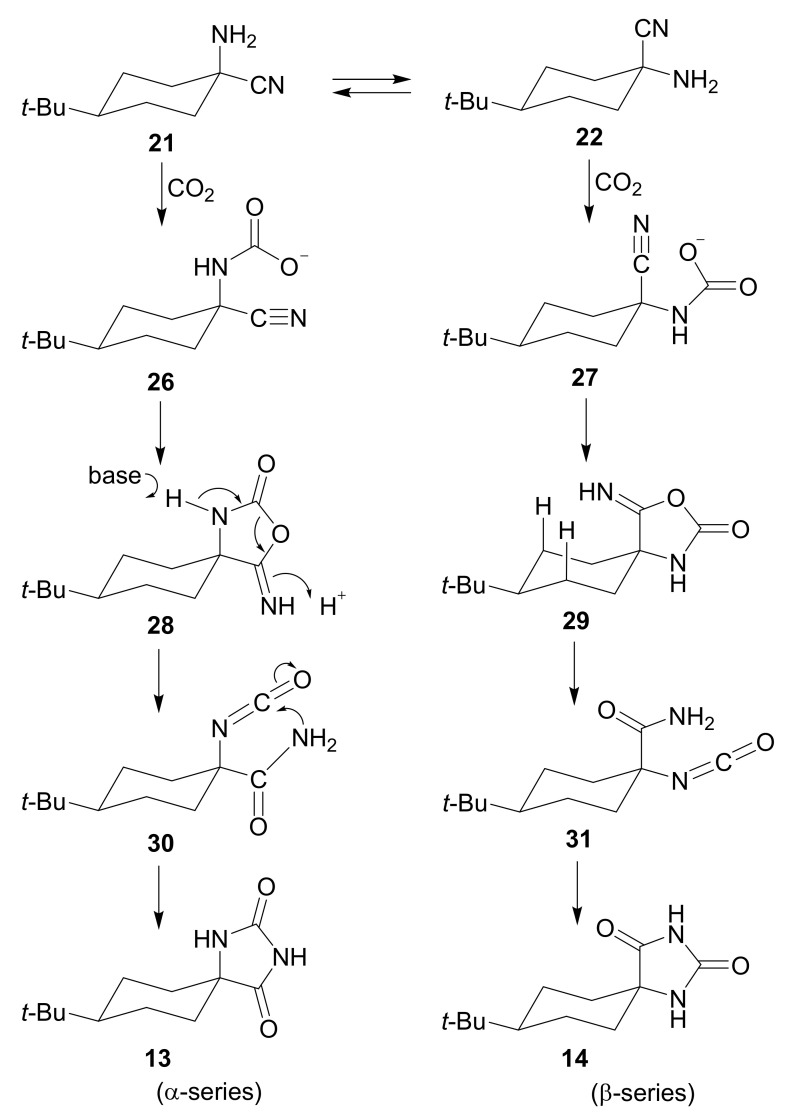 Scheme 8