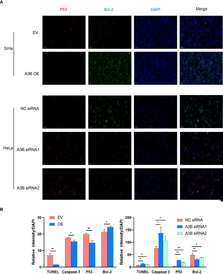 Figure 6