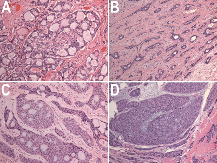 Fig. 1