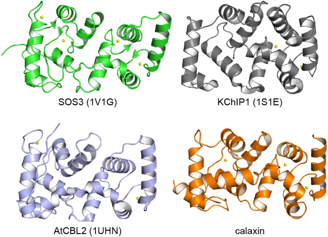 Figure 7