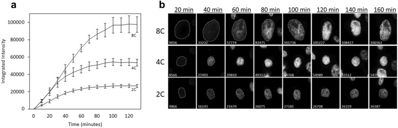 Fig. 2