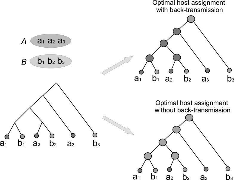 Fig. 3.