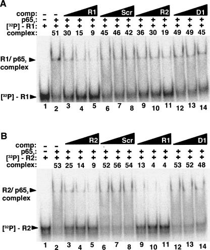 FIGURE 3.