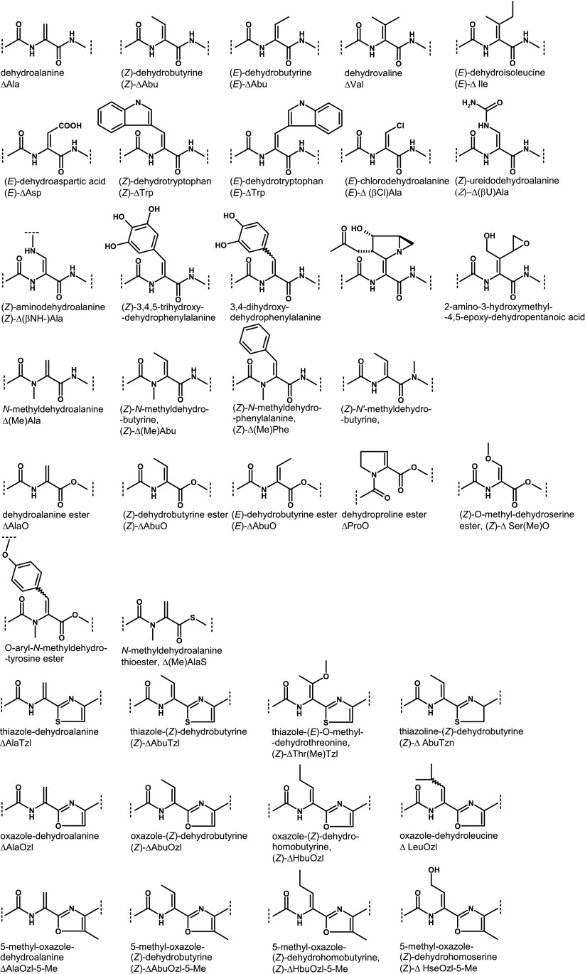 Scheme 2