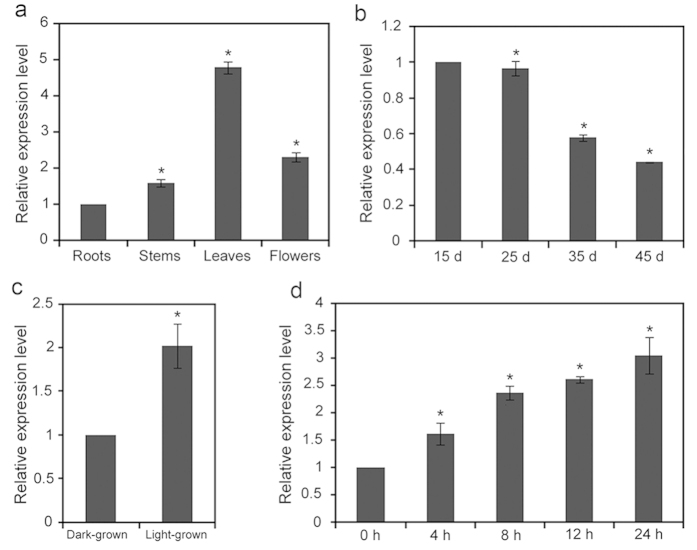 Figure 6