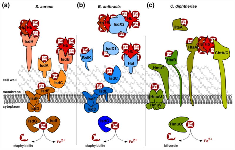 Fig. 2