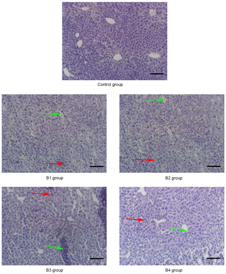 Figure 4.