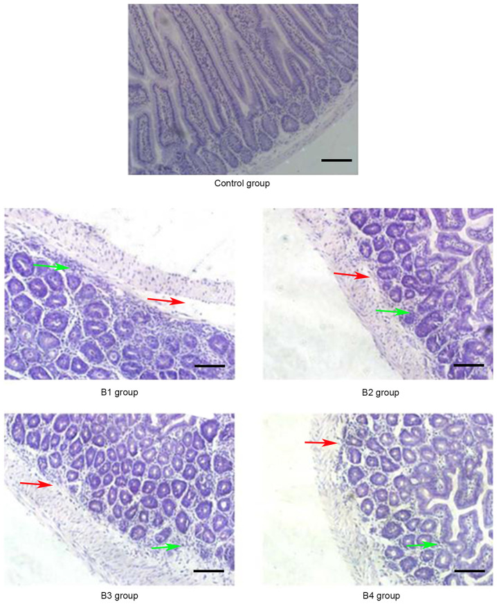 Figure 6.