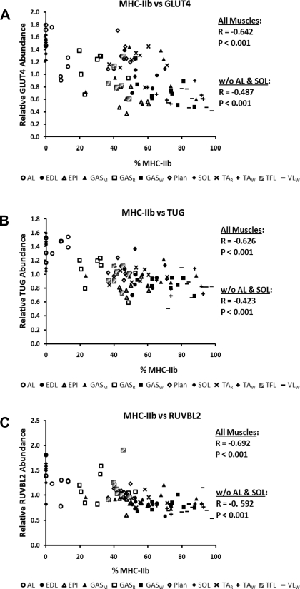 Fig. 10.