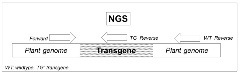 Figure 7.