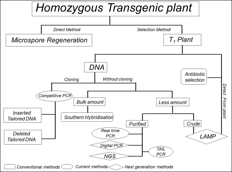 Figure 10.