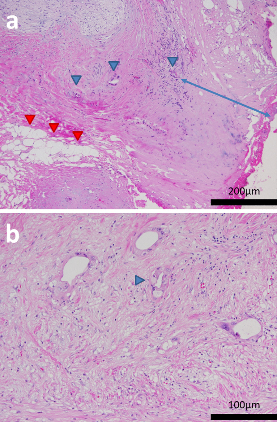 Fig. 6