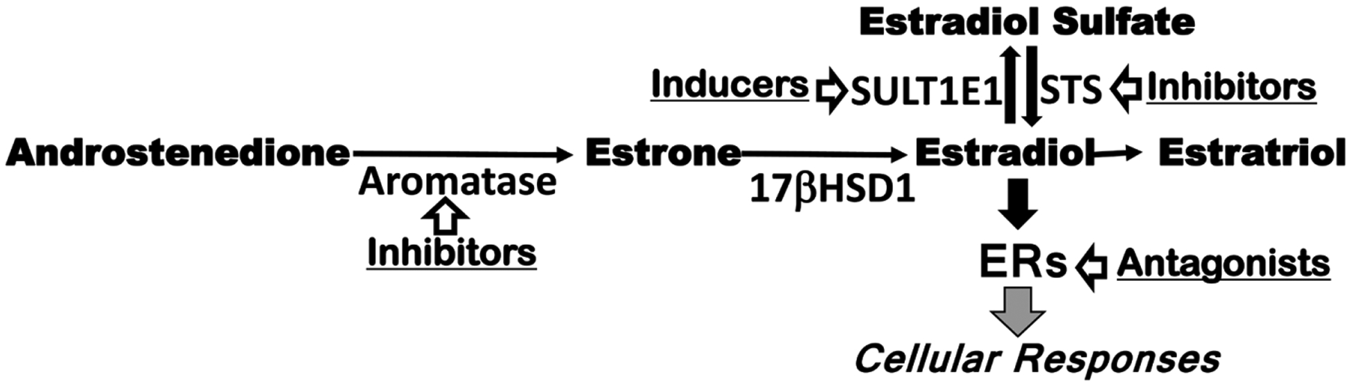 Scheme 1.