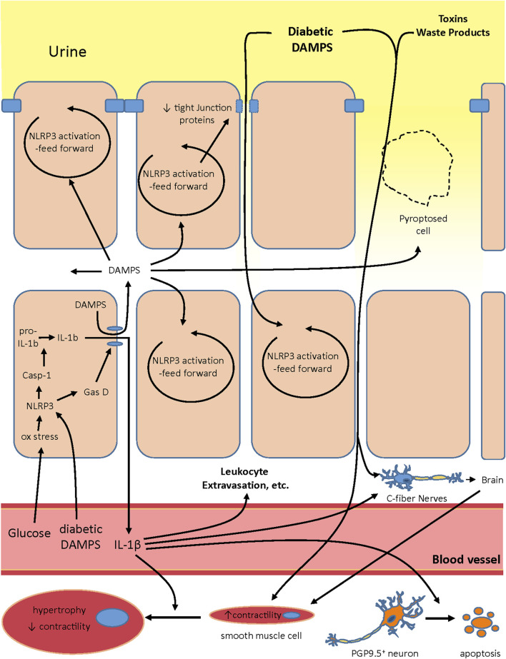 FIGURE 2