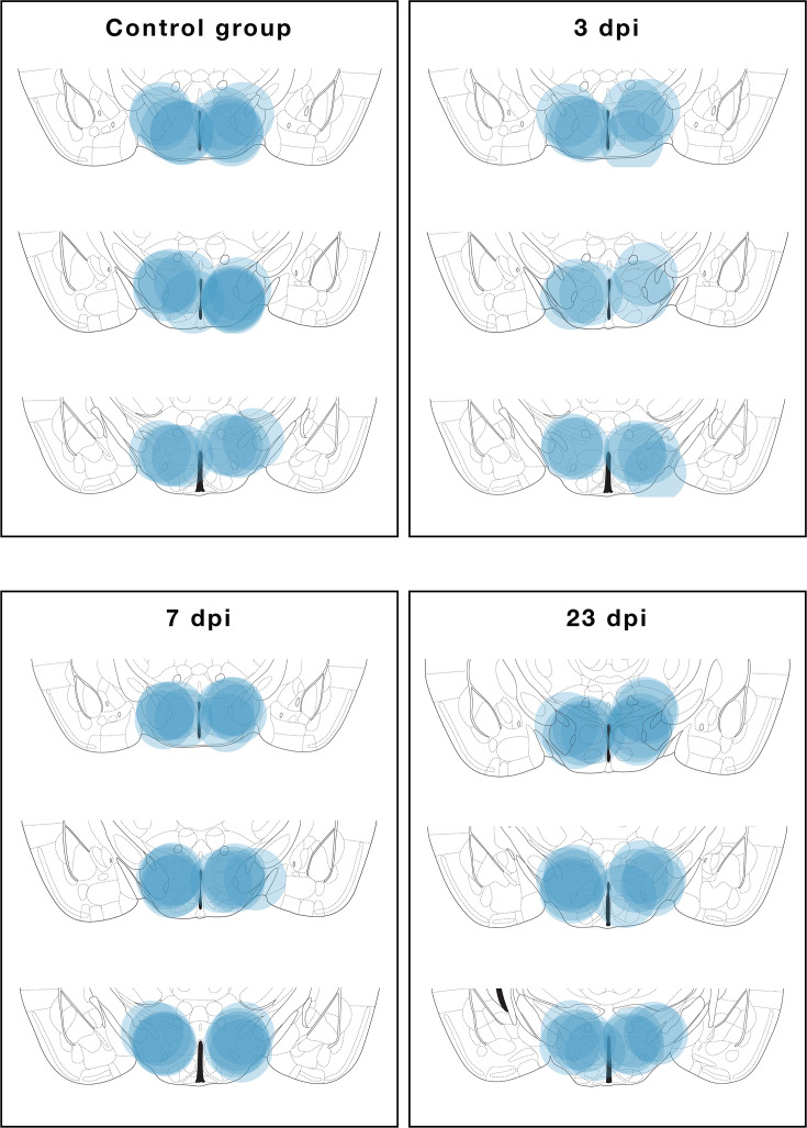 Figure 1—figure supplement 3.