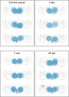 Figure 1—figure supplement 3.