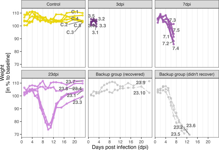 Figure 1—figure supplement 2.