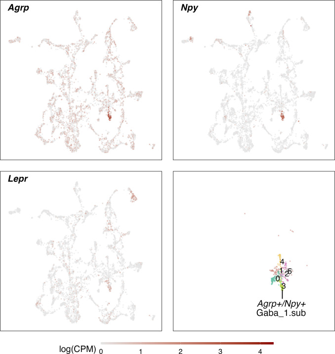 Figure 8—figure supplement 2.