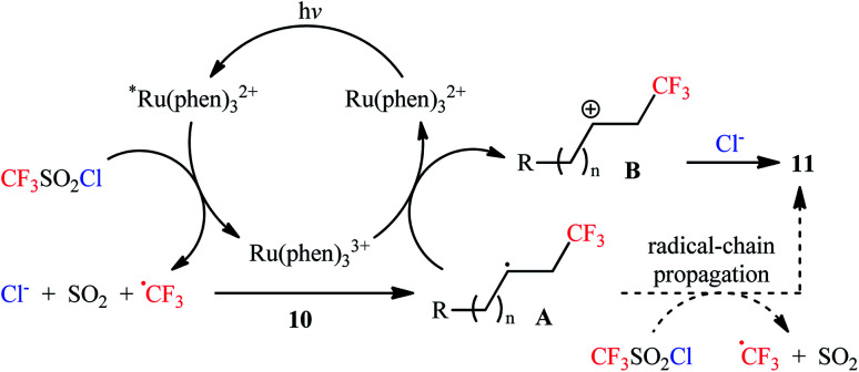 Scheme 7