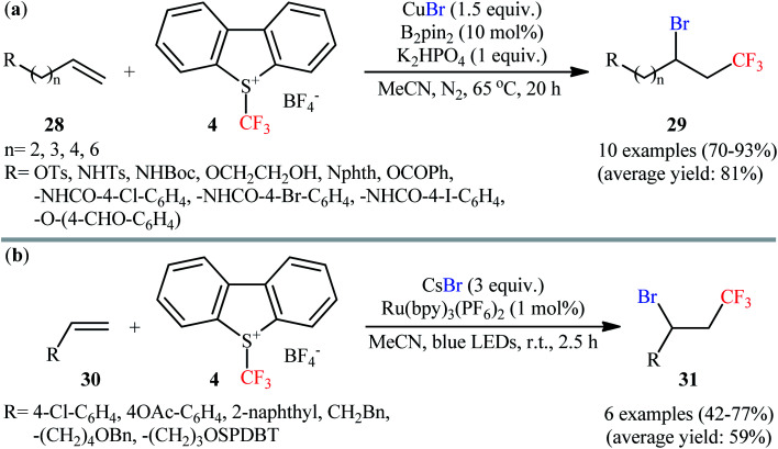 Scheme 15