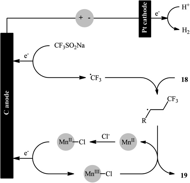 Scheme 12