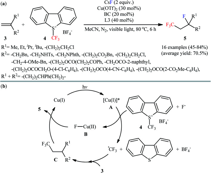 Scheme 3