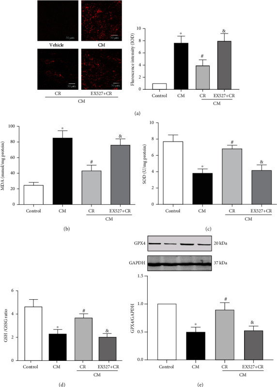 Figure 5