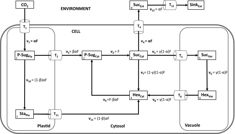 Fig. 1