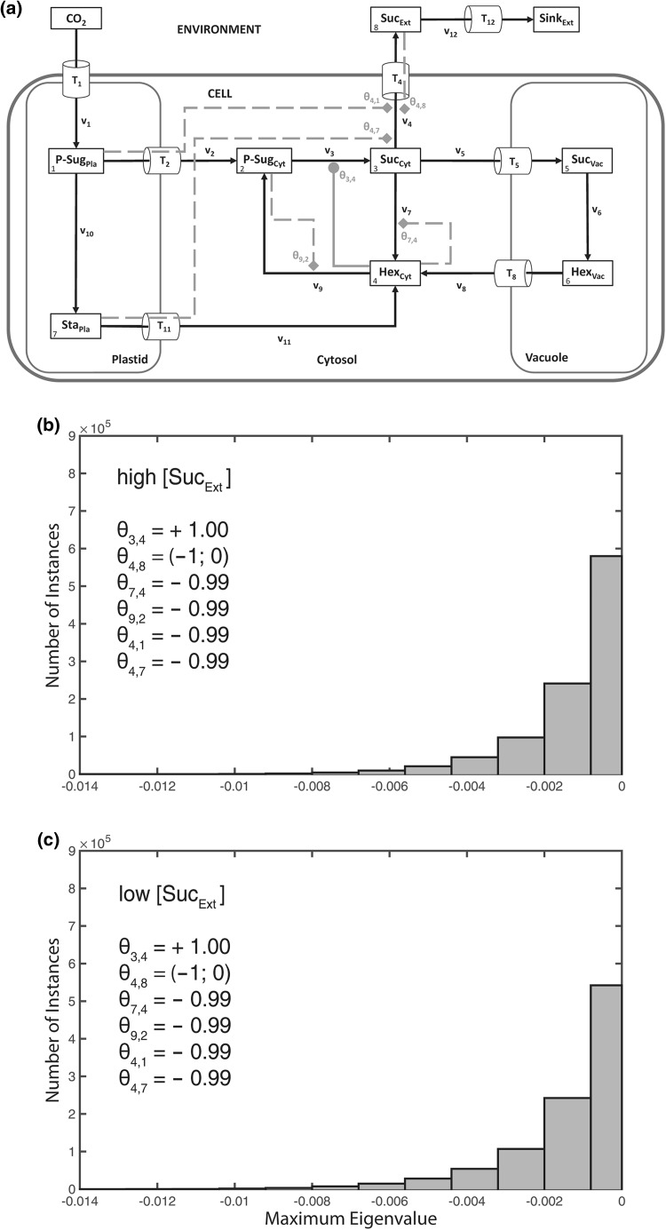 Fig. 8