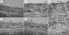 FIG. 2.