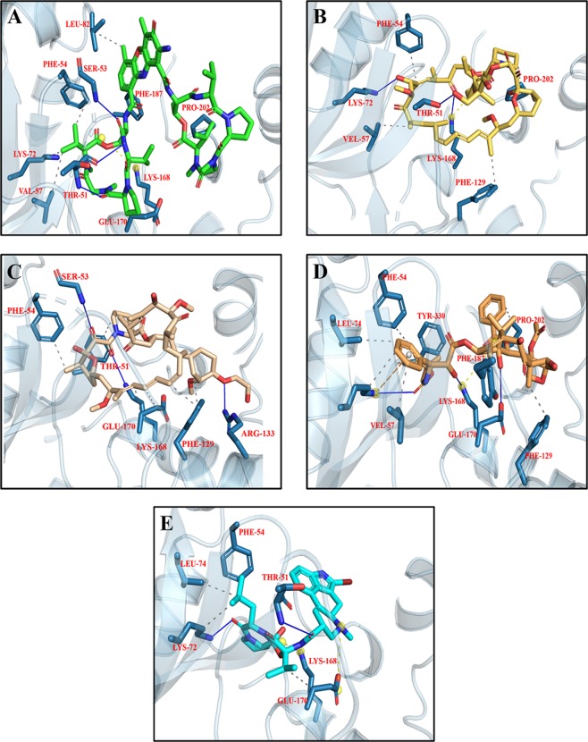 Figure 11