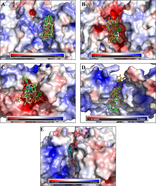 Figure 17