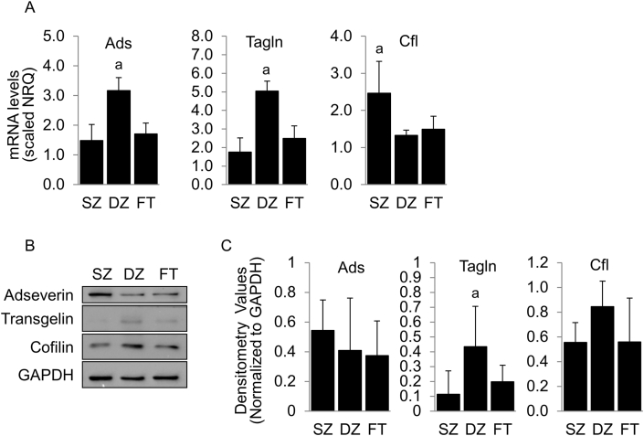 Fig. 4